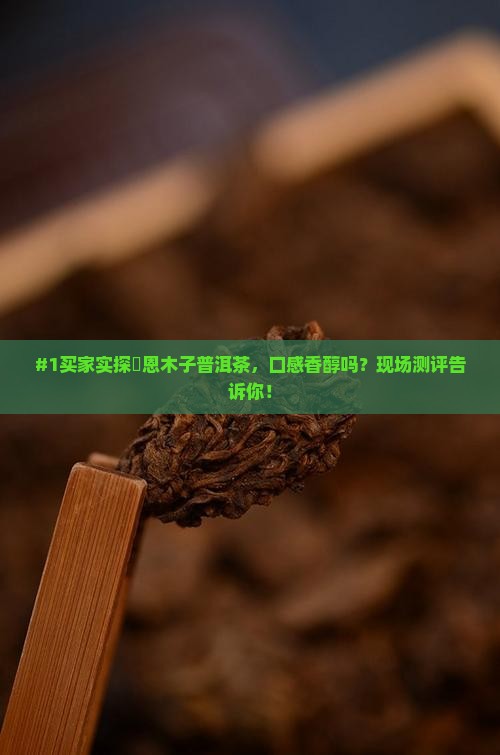 雲恩木子普洱茶