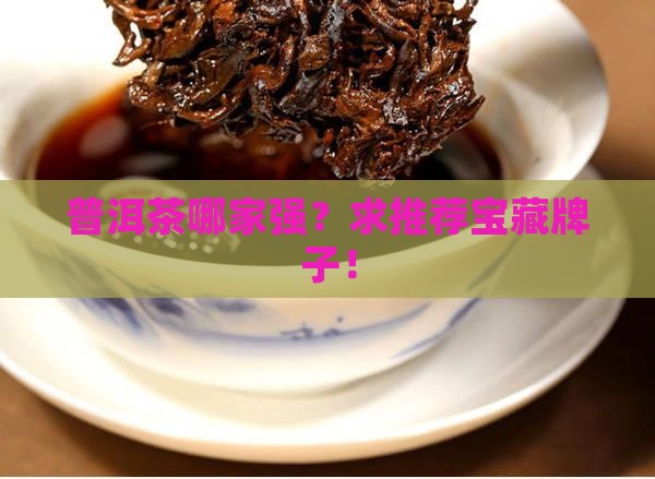 存什么牌子的普洱茶好