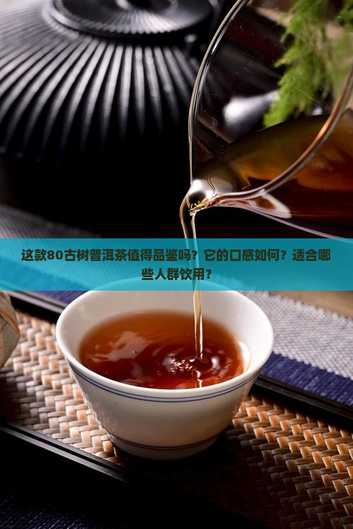 品鉴80古树普洱茶