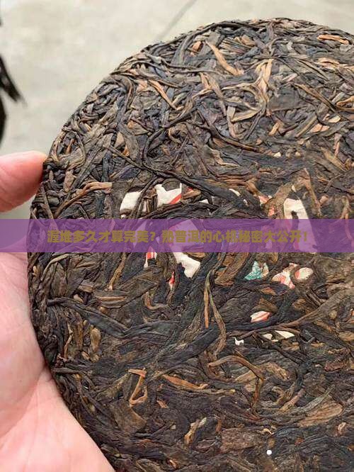 熟普洱茶渥堆多长时间