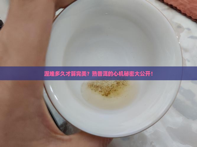 熟普洱茶渥堆多长时间