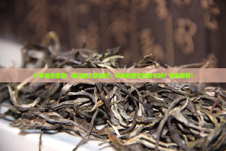 云南临沧六年普洱茶