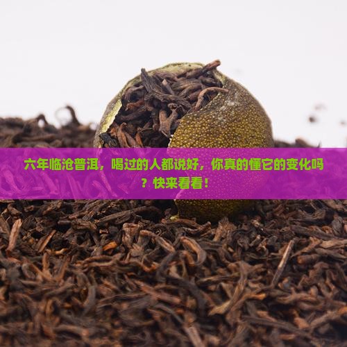 云南临沧六年普洱茶