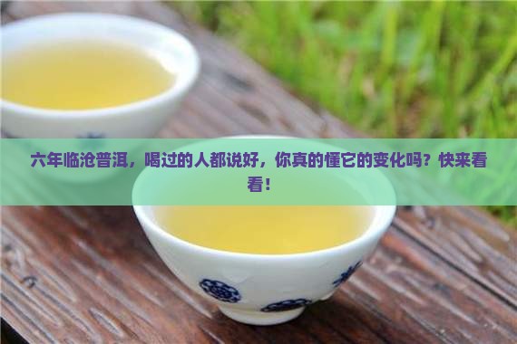 云南临沧六年普洱茶