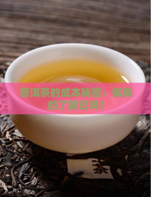 普洱茶成本管理制度表格