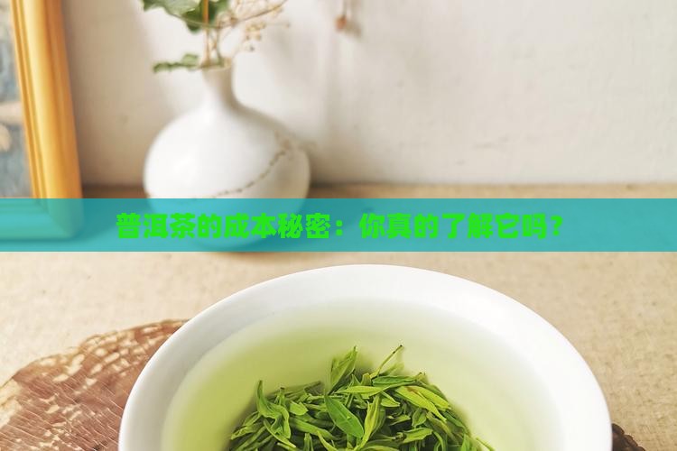 普洱茶成本管理制度表格