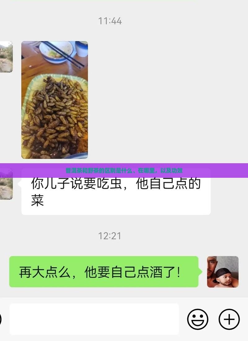 普洱茶和野茶的区别