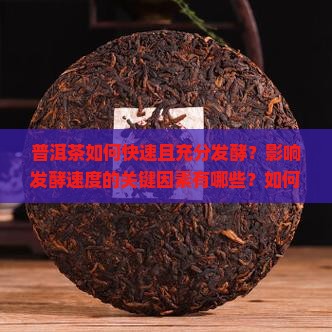 普洱茶怎么发酵得好的最快