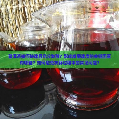 普洱茶怎么发酵得好的最快