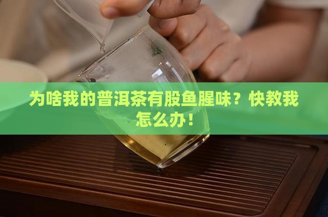 怎么去除普洱茶的鱼腥味