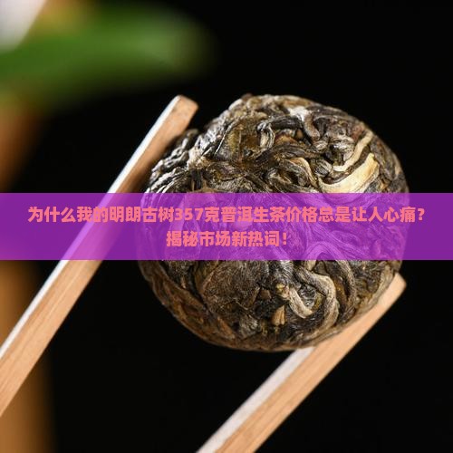 明朗古树357克普洱生茶价格
