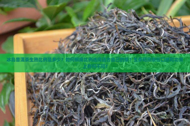 冰岛普洱茶生熟比例是多少