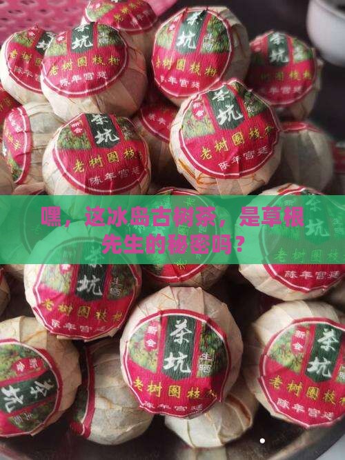 草根先生冰岛古树茶