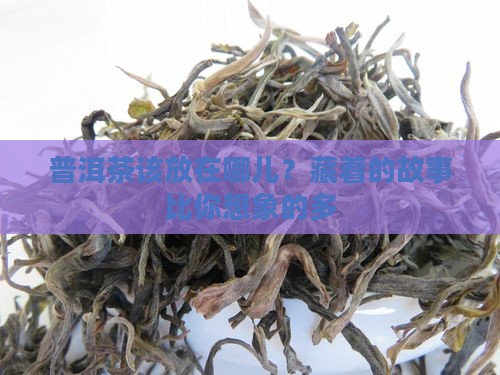 普洱茶存放地方