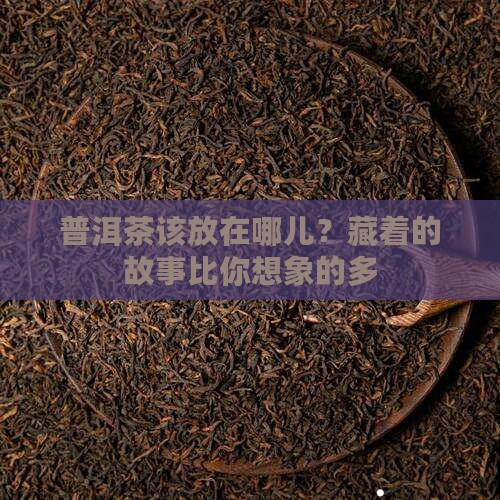 普洱茶存放地方
