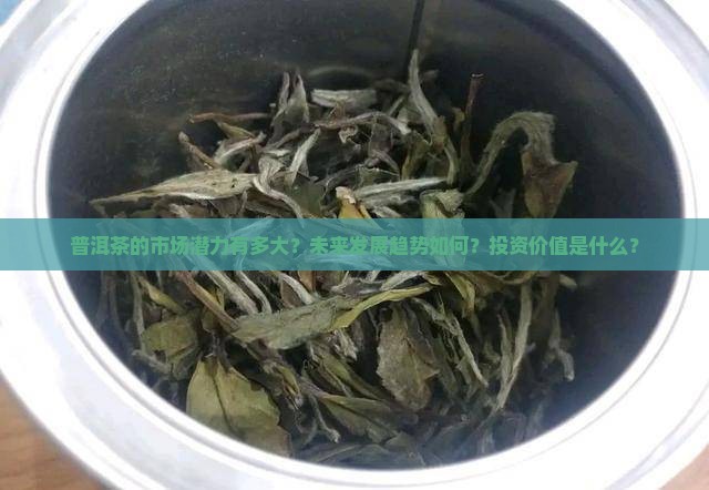普洱茶的市场潜力