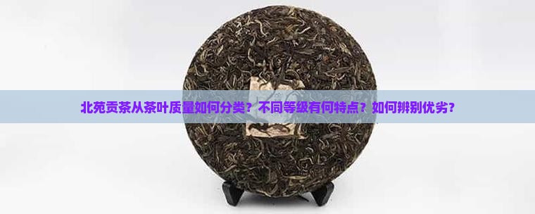北苑贡茶从茶叶的质量可以分为