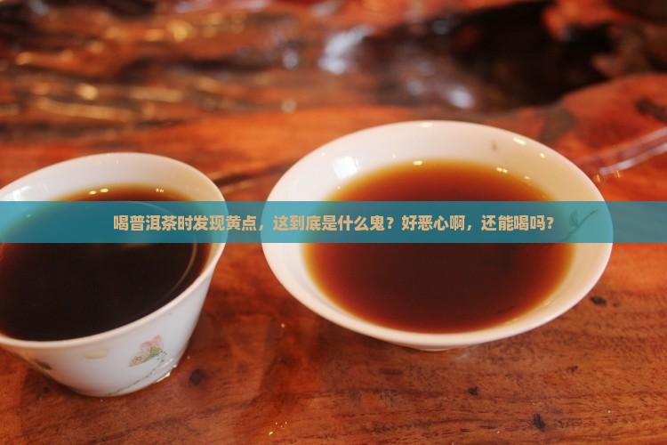 普洱茶里的黄点是什么回事