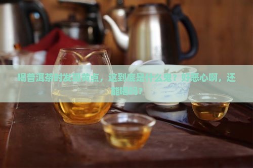 普洱茶里的黄点是什么回事
