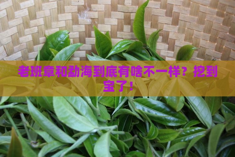勐海和老班章区别