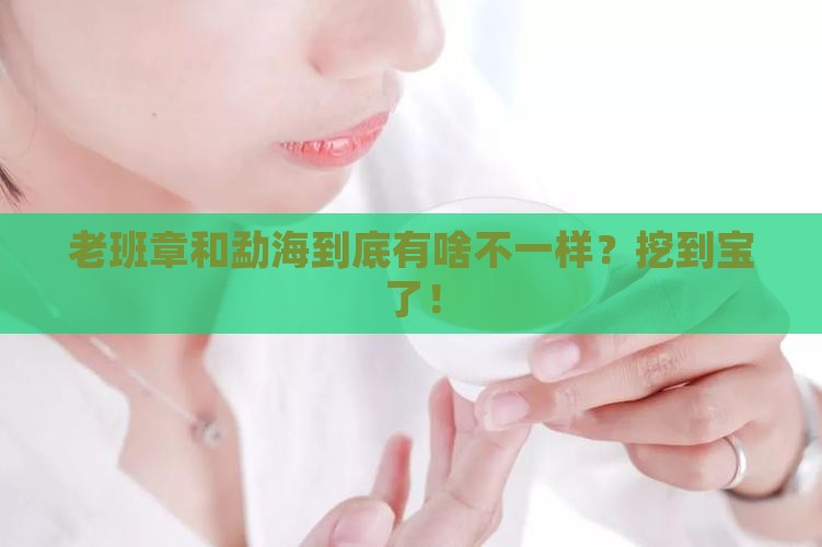 勐海和老班章区别