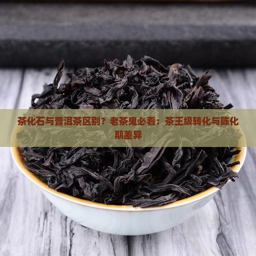 茶化石与普洱茶区别