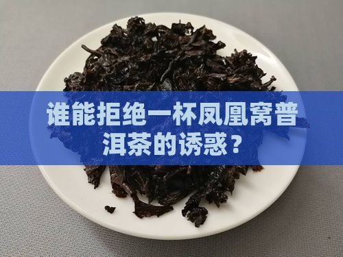 八角亭凤凰窝普洱茶