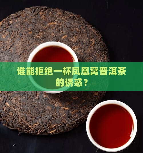 八角亭凤凰窝普洱茶