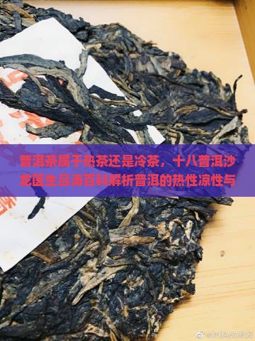 普洱茶属于热茶还是冷茶