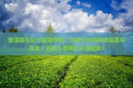 普洱茶能分装保存吗