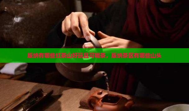 版纳有哪些红茶山
