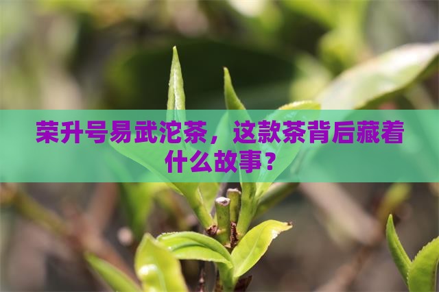 荣升号易武沱茶