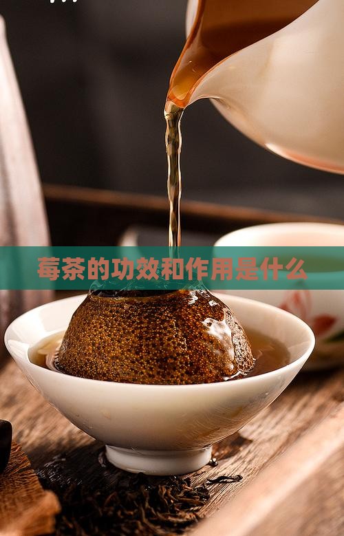 莓茶的功效和作用是什么 莓茶的功效和作用是什么