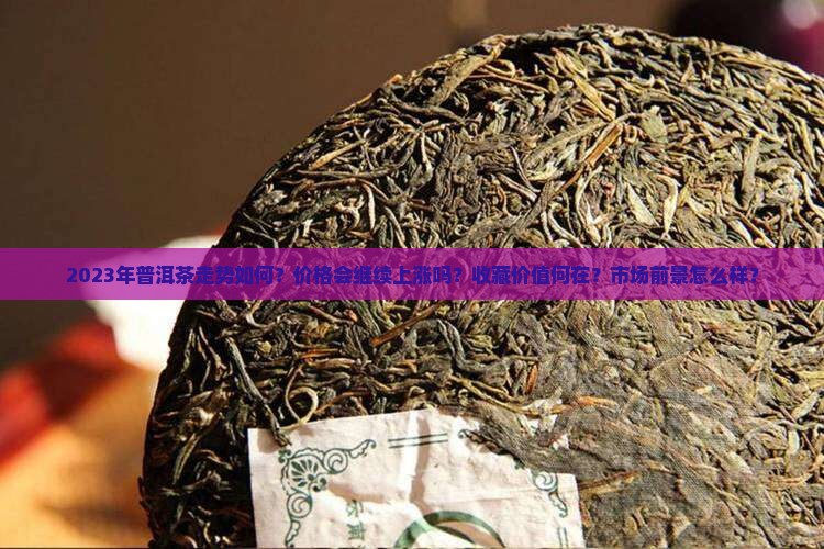 2023年普洱茶走势如何