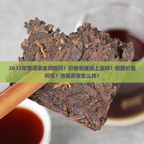 2023年普洱茶走势如何