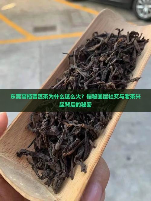 东莞高档普洱茶