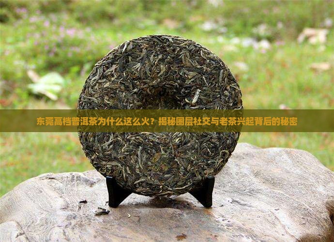 东莞高档普洱茶