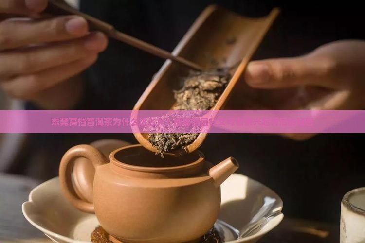 东莞高档普洱茶