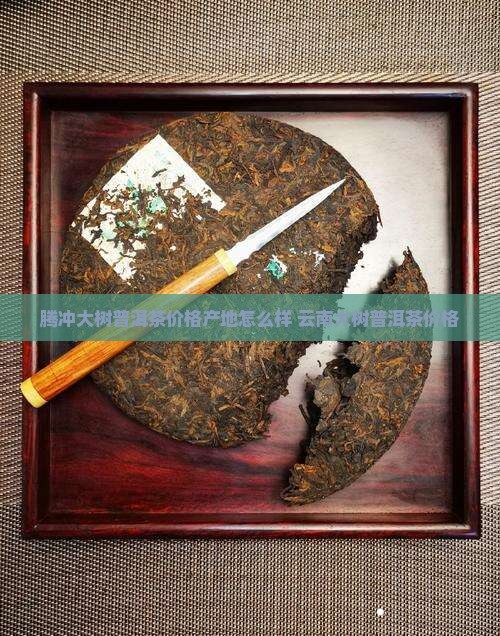 腾冲大树普洱茶