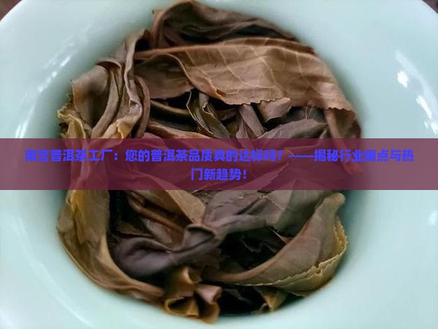 南宫普洱茶工厂
