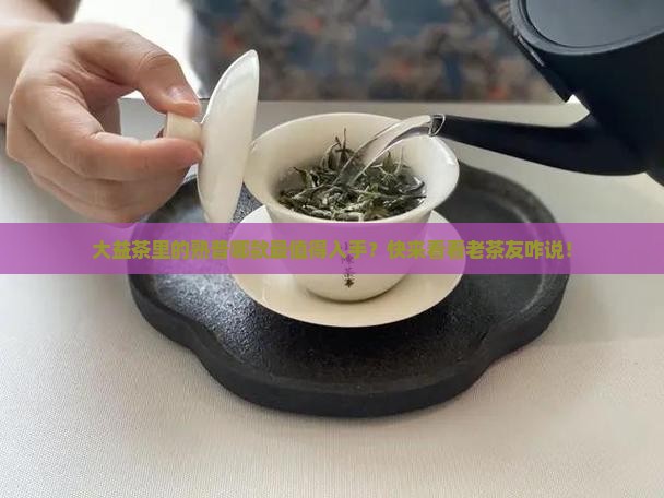 大益茶中熟普最推荐的