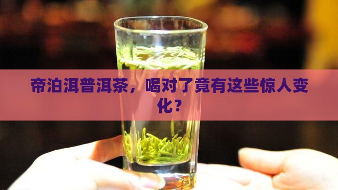帝泊洱普洱茶功效与作用