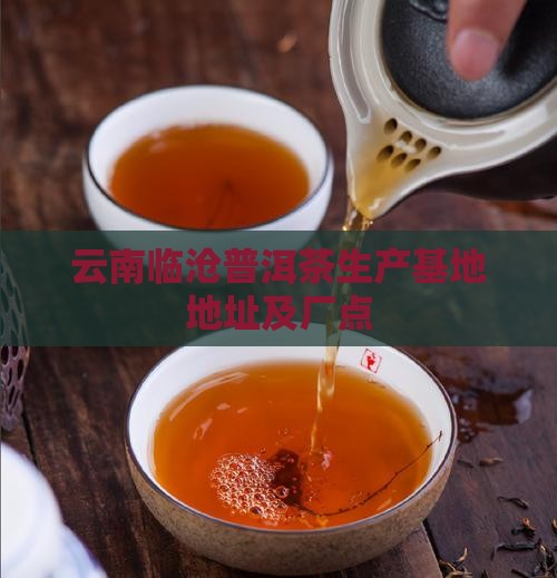 云南临沧普洱茶生产基地
