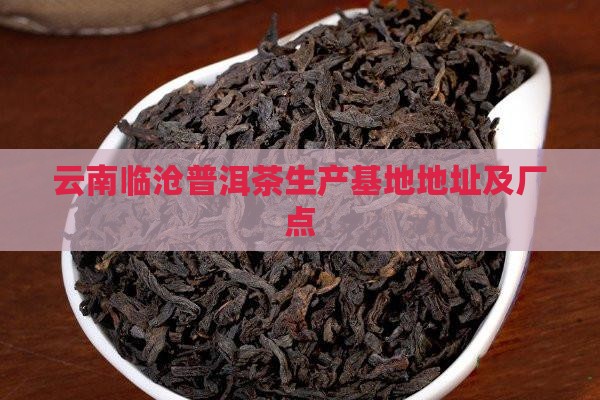 云南临沧普洱茶生产基地