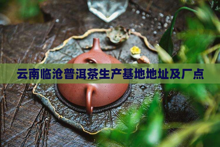 云南临沧普洱茶生产基地