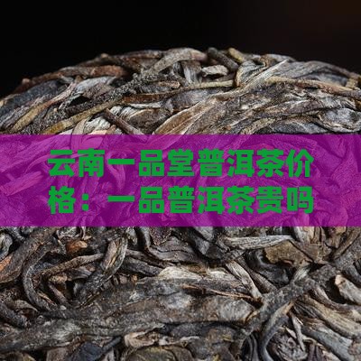 一品堂普洱茶贵吗