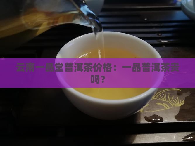 一品堂普洱茶贵吗
