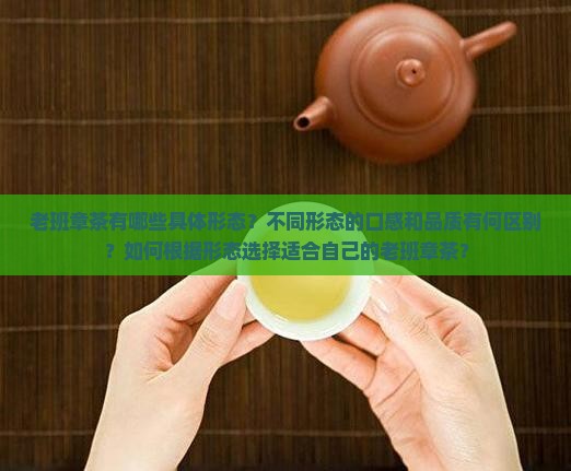 老班章茶的形态