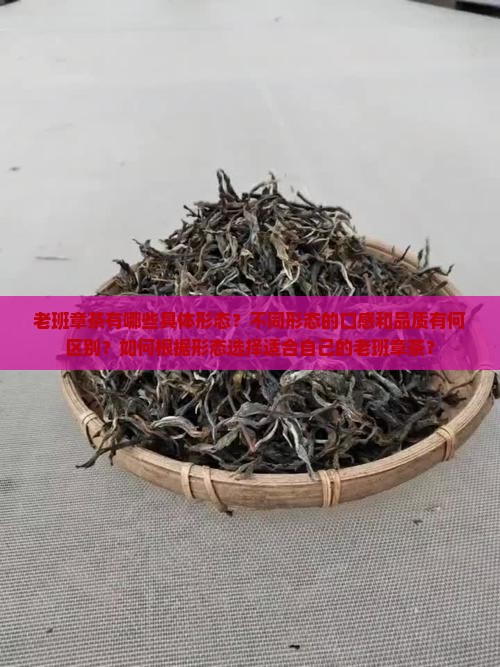 老班章茶的形态