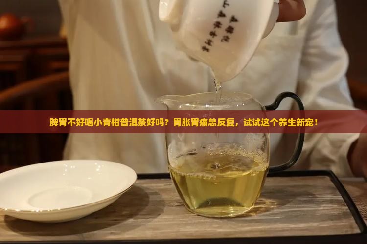 脾胃不好喝小青柑普洱茶好吗